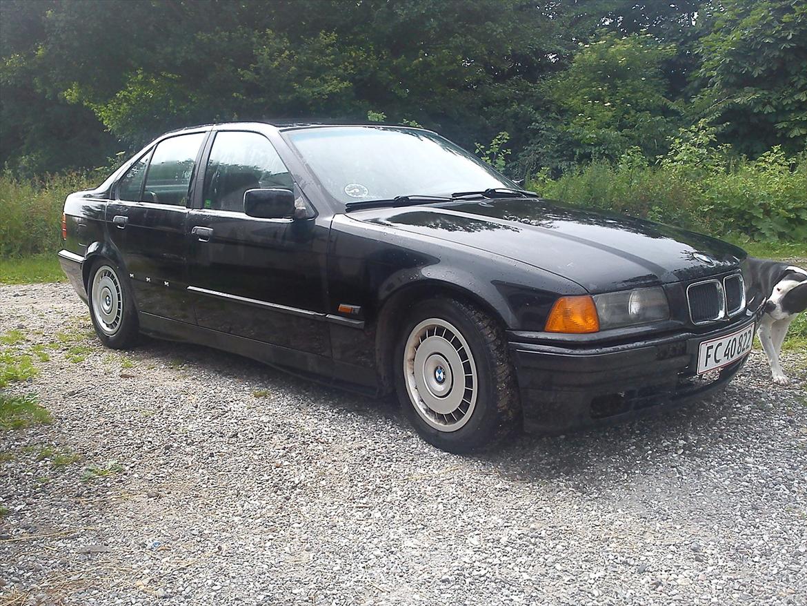 BMW e36 316i billede 3