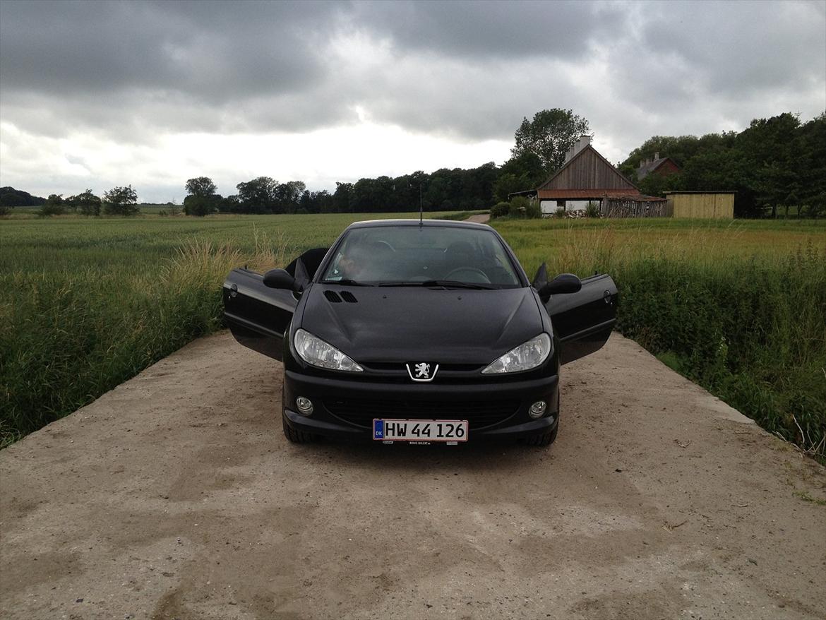 Peugeot 206 cc billede 10