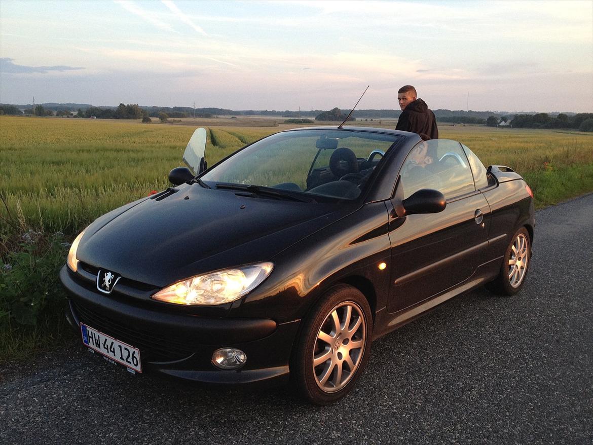 Peugeot 206 cc billede 15
