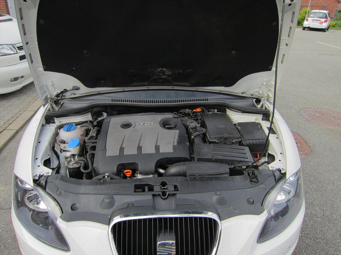 Seat Leon ECO/Økomotiv billede 4