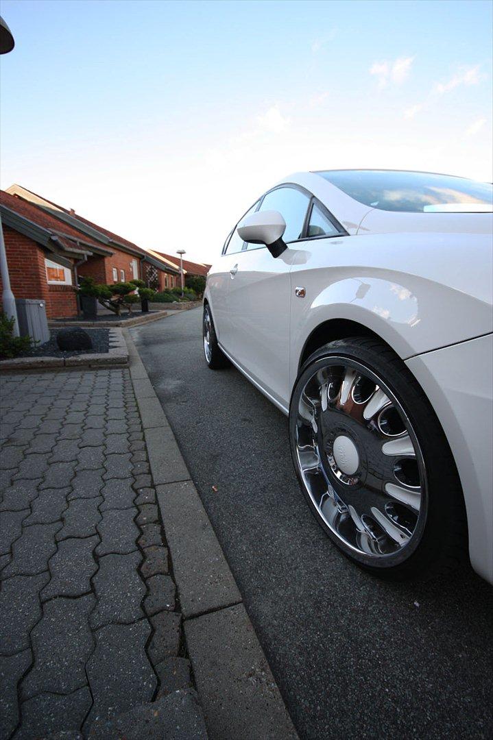 Seat Leon ECO/Økomotiv billede 15