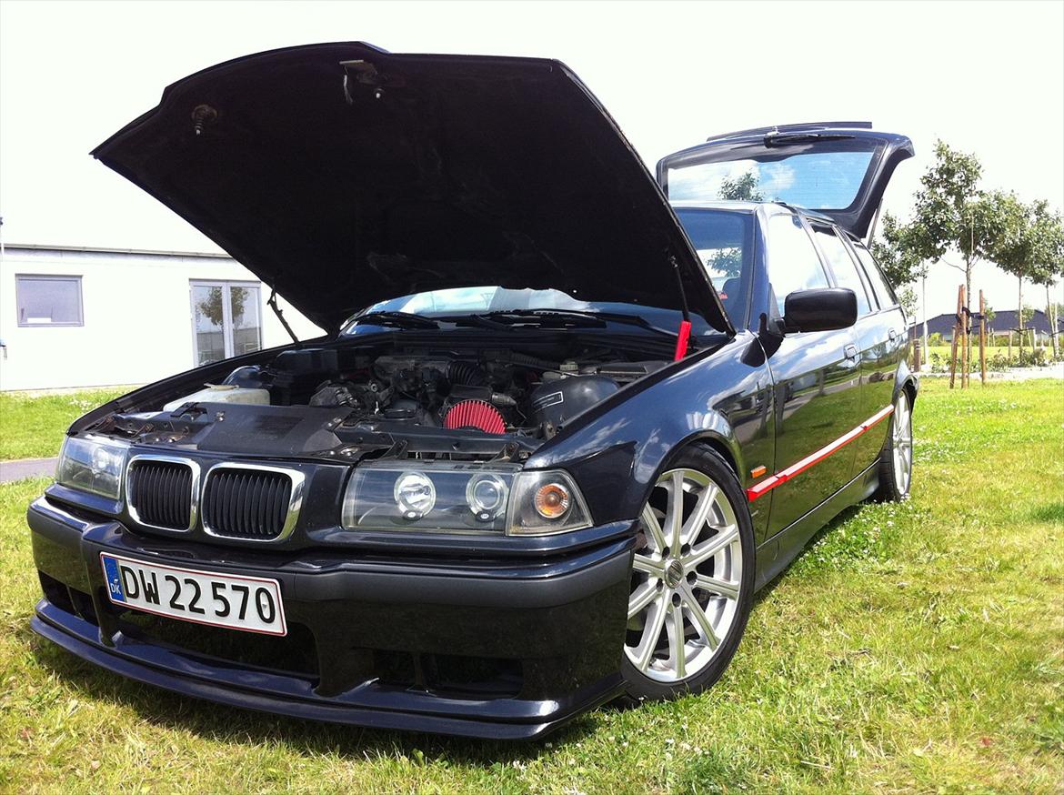 BMW 316 billede 10