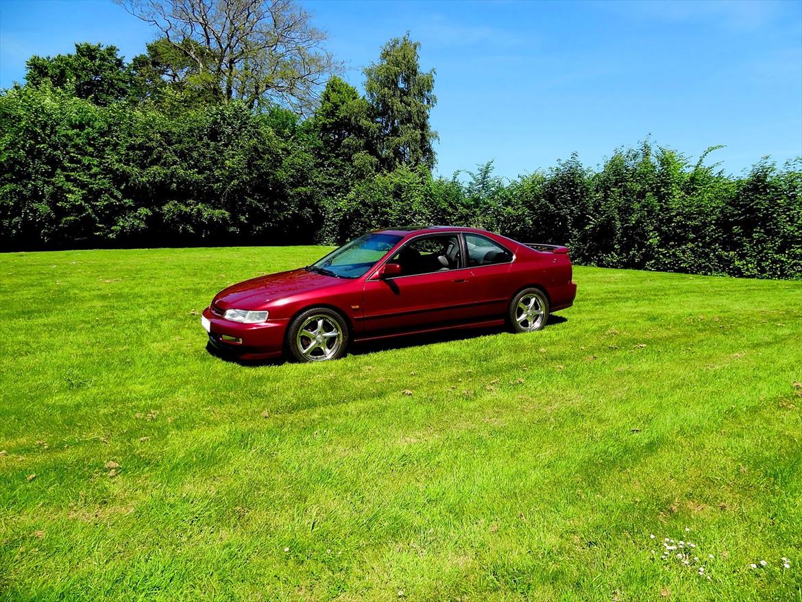 Honda Accord Coupe 2.2 billede 15