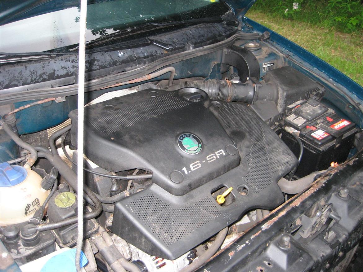 Skoda Octavia GLXI billede 11