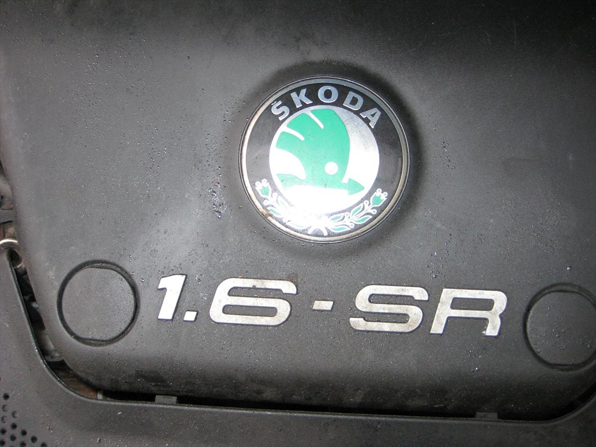 Skoda Octavia GLXI billede 13