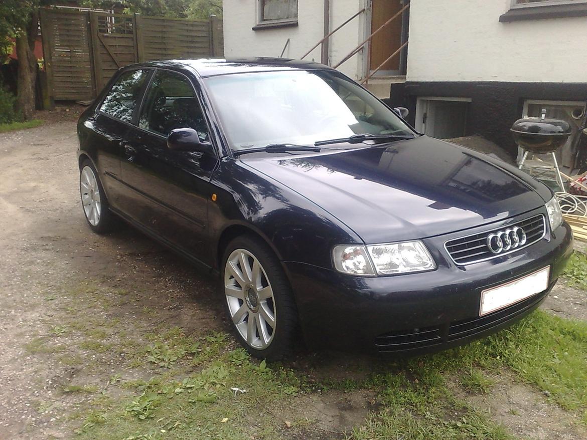 Audi A3 8L billede 12