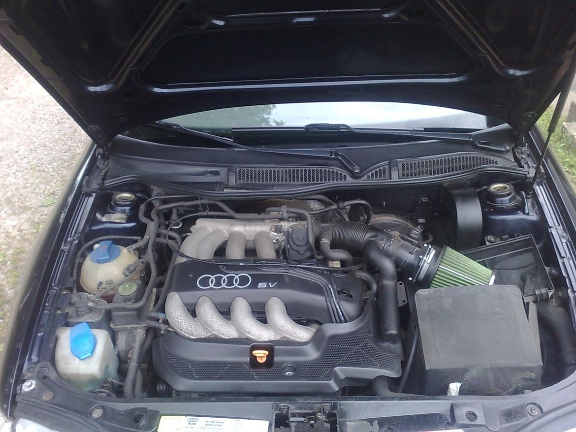 Audi A3 8L - Greenfilter billede 16