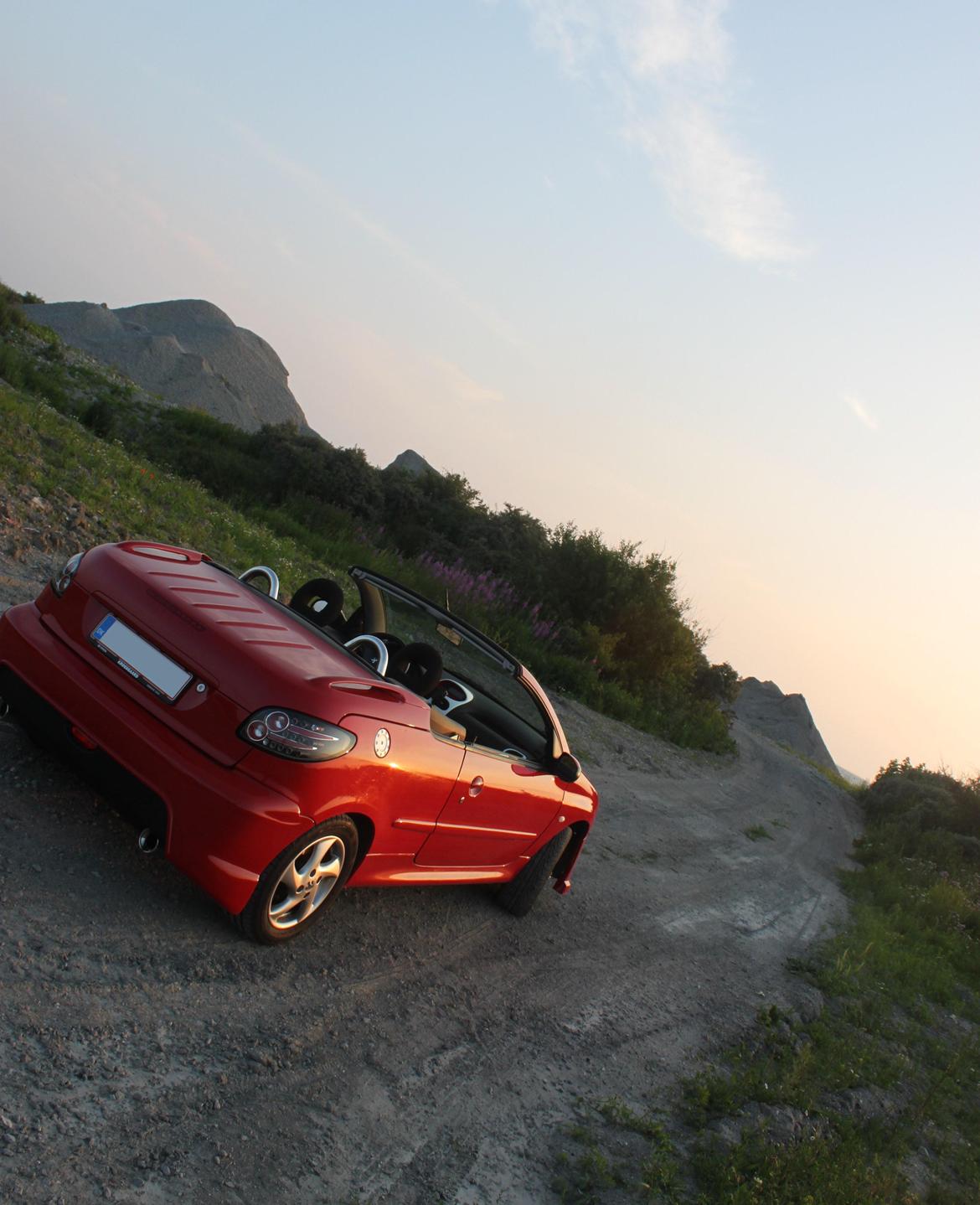 Peugeot 206 cc "Styling" billede 13