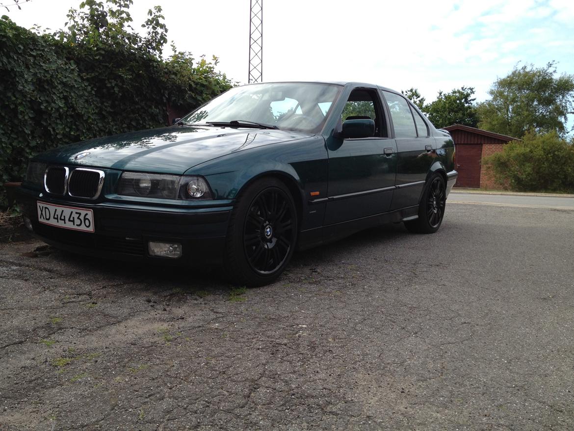 BMW E36 316i billede 8