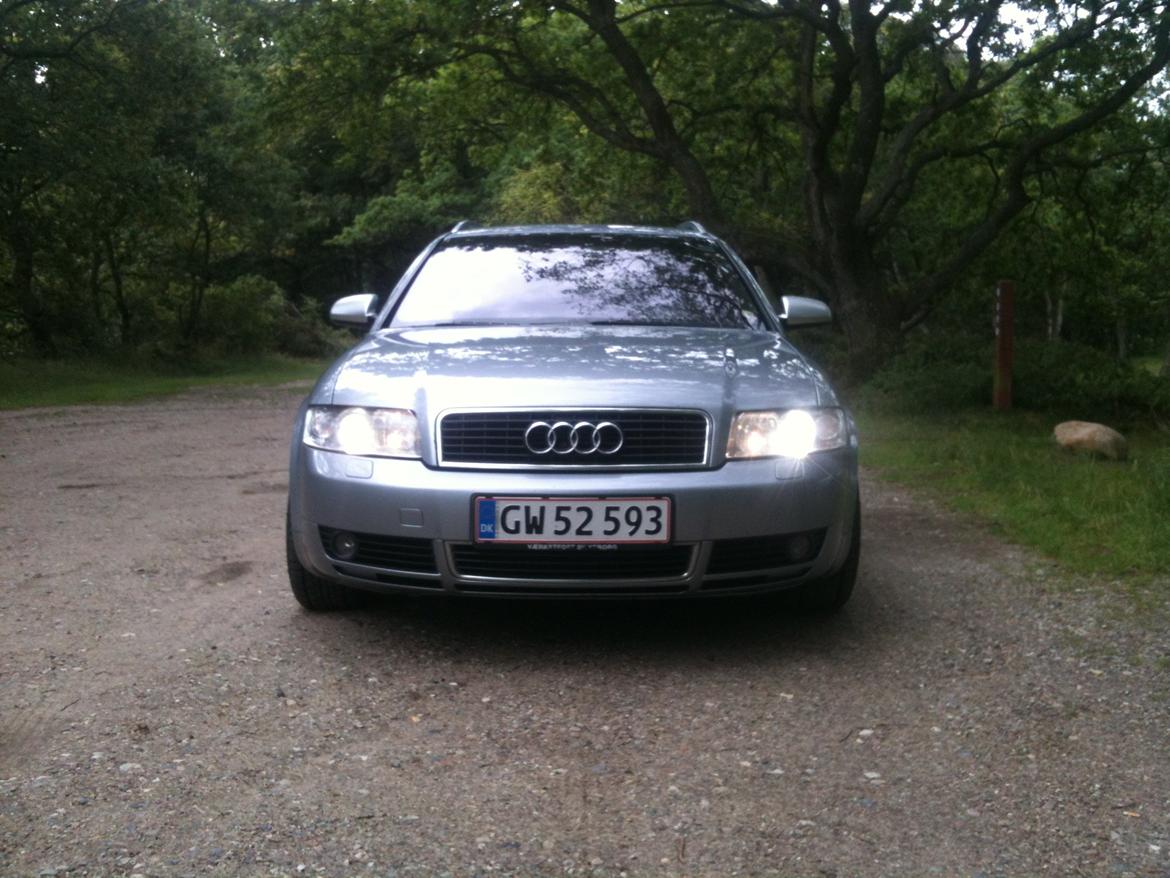 Audi A4 2,5 V6 TDI Quattro billede 2