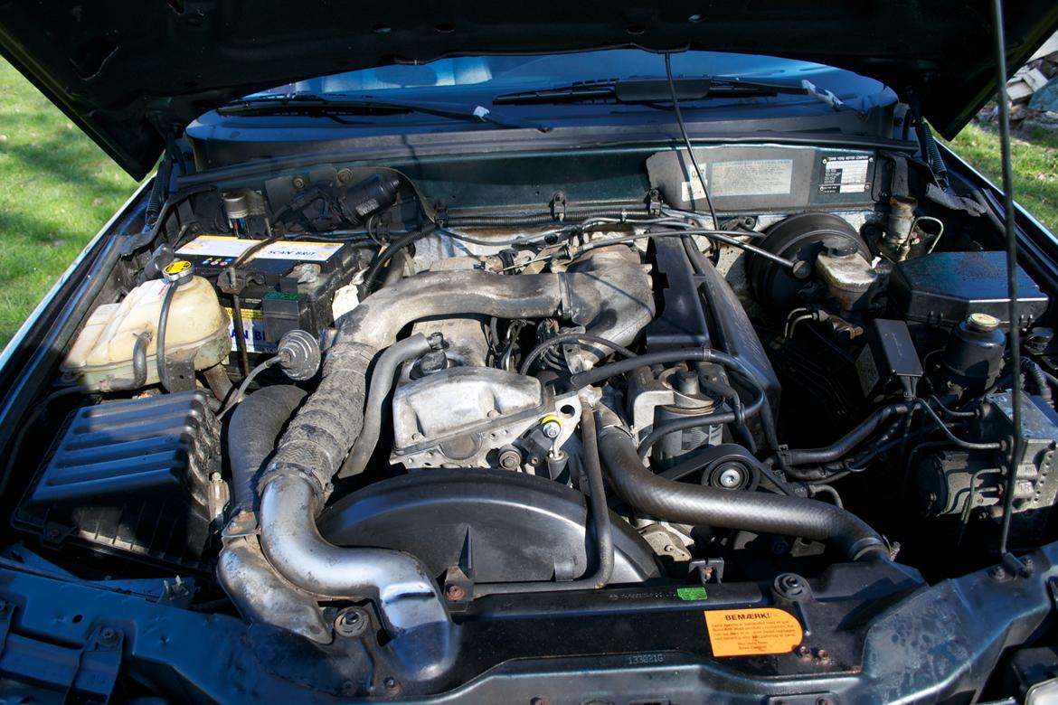 SsangYong musso billede 11