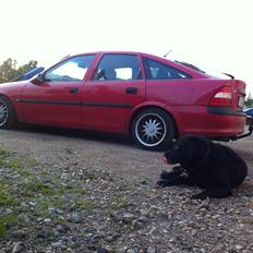 Opel Vectra B 1,8 - Lowrider
