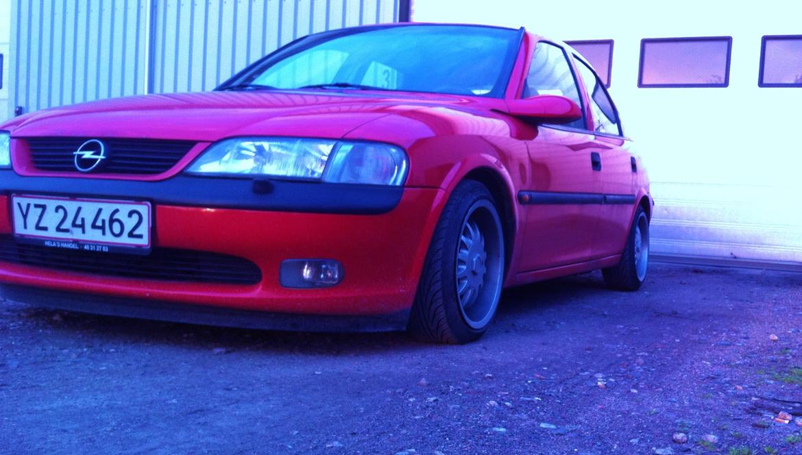 Opel Vectra B 1,8 - Lowrider billede 1