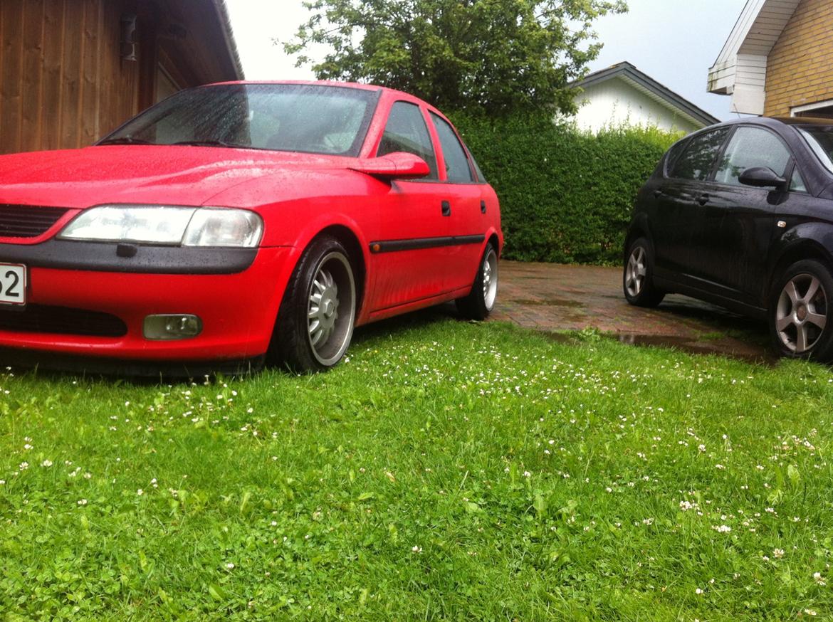 Opel Vectra B 1,8 - Lowrider billede 3