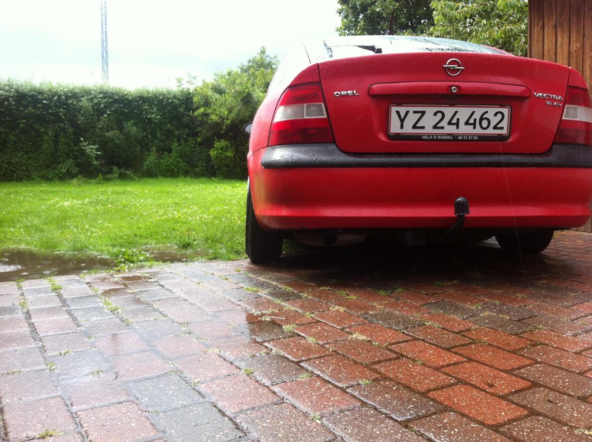 Opel Vectra B 1,8 - Lowrider billede 6