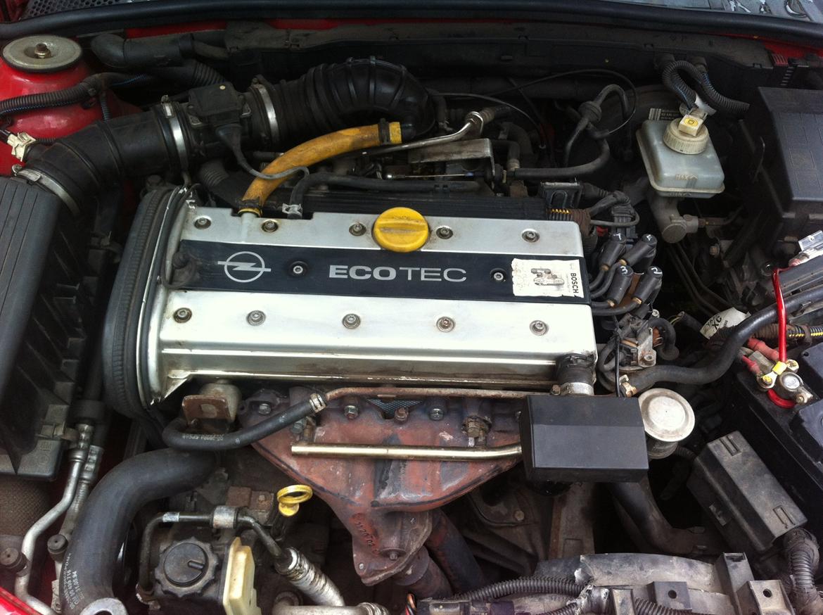 Opel Vectra B 1,8 - Lowrider billede 12