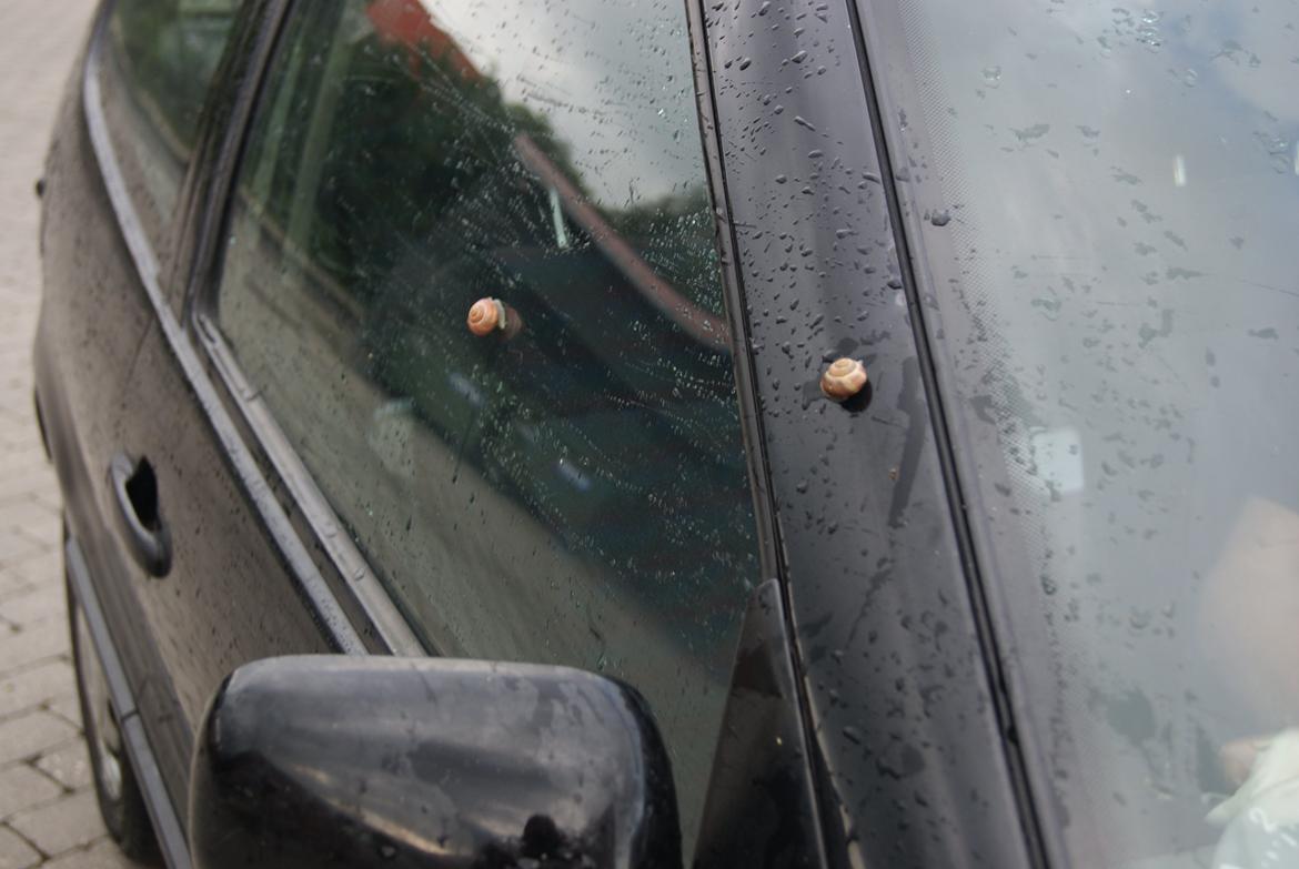 VW Polo 6n Solgt billede 6