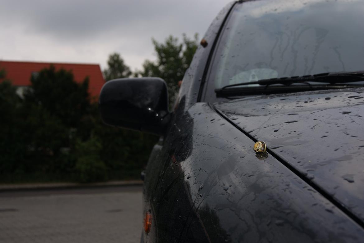 VW Polo 6n Solgt billede 7