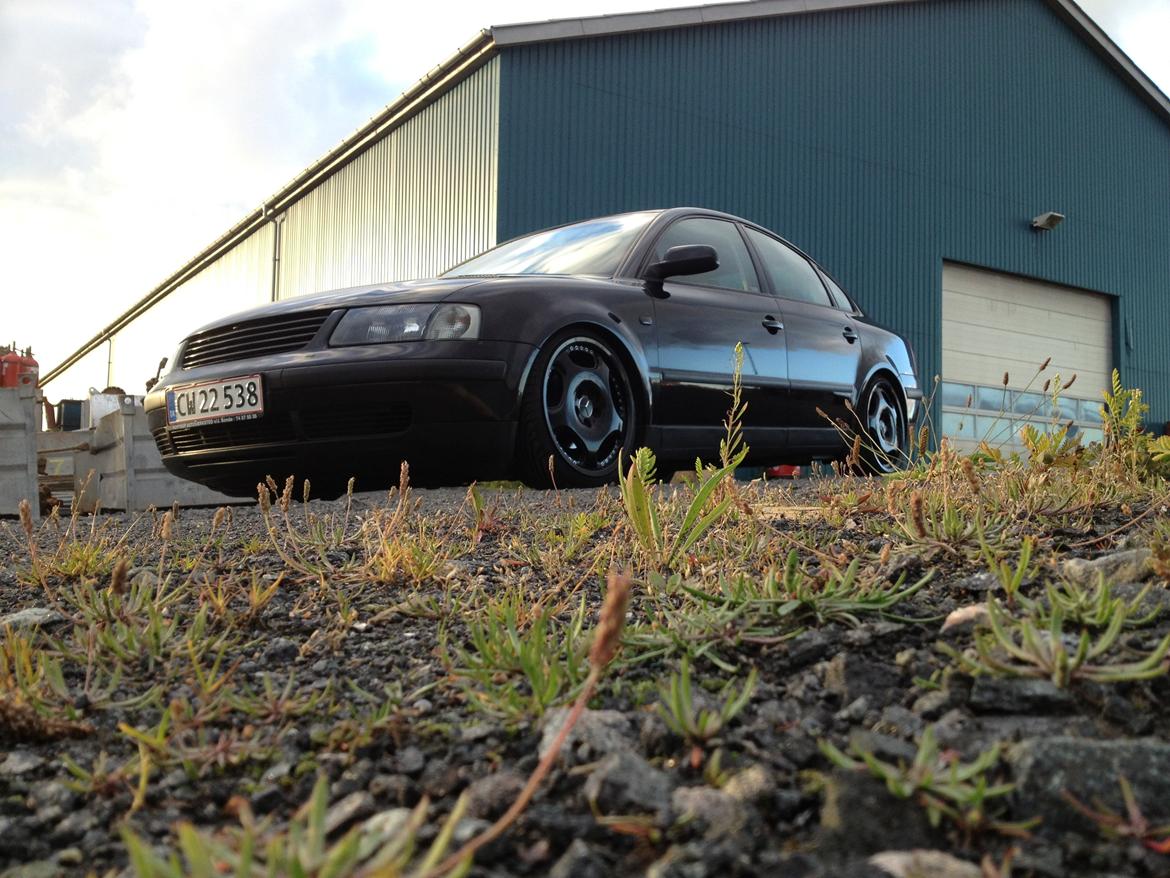 VW Passat limo billede 1