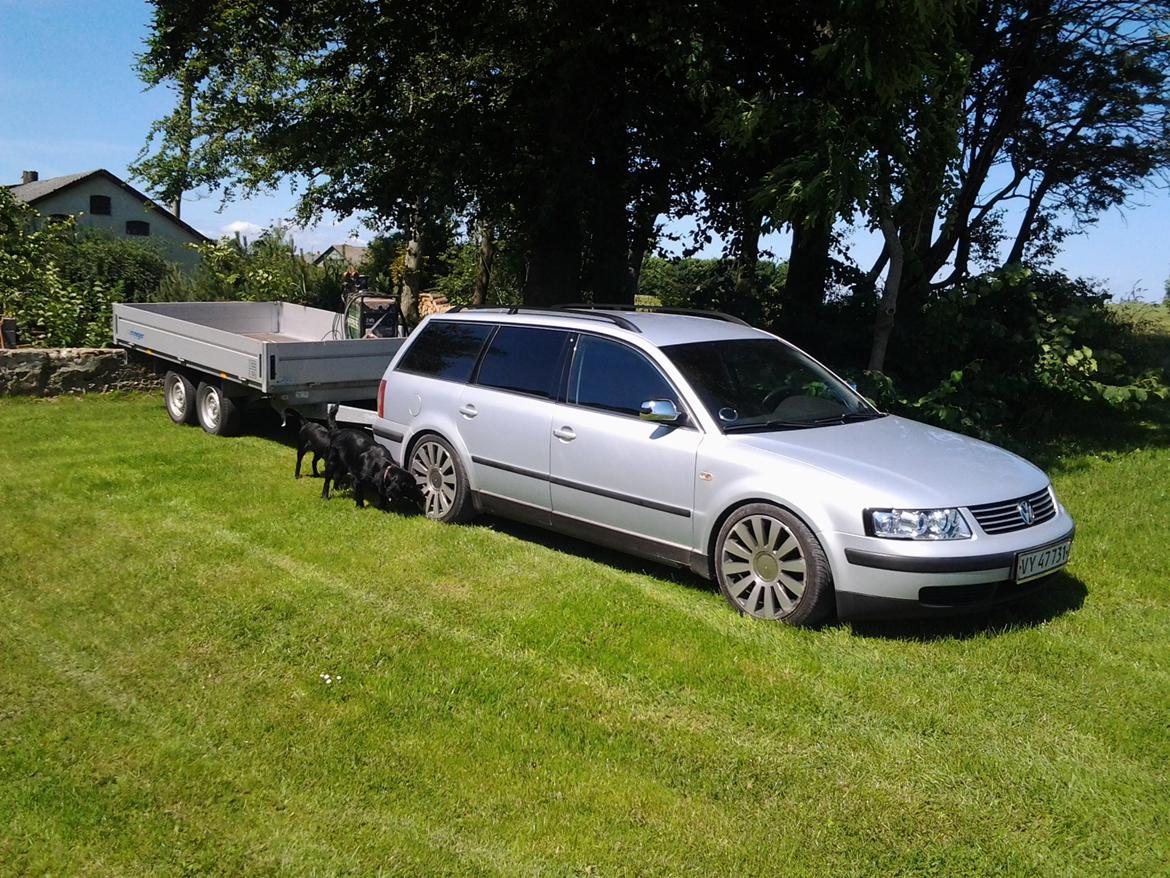 VW Passat Stc 3B billede 7