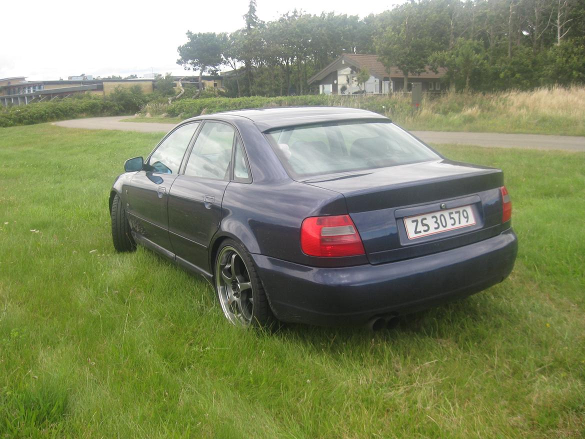 Audi A4 billede 7