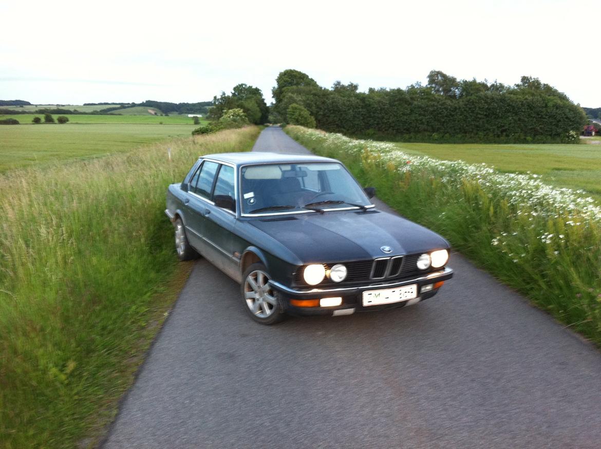 BMW e28 - 518i billede 1