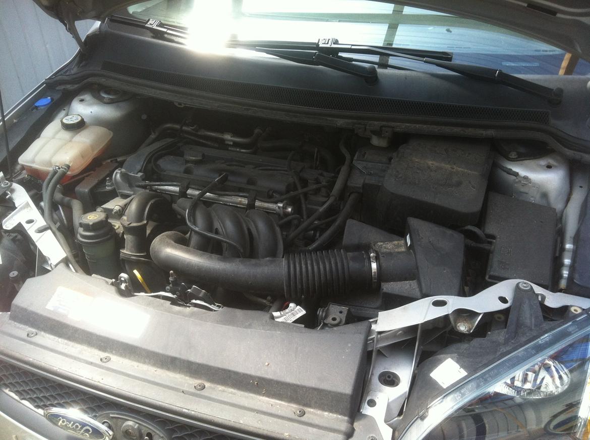 Ford Focus 1,6 Trend billede 10