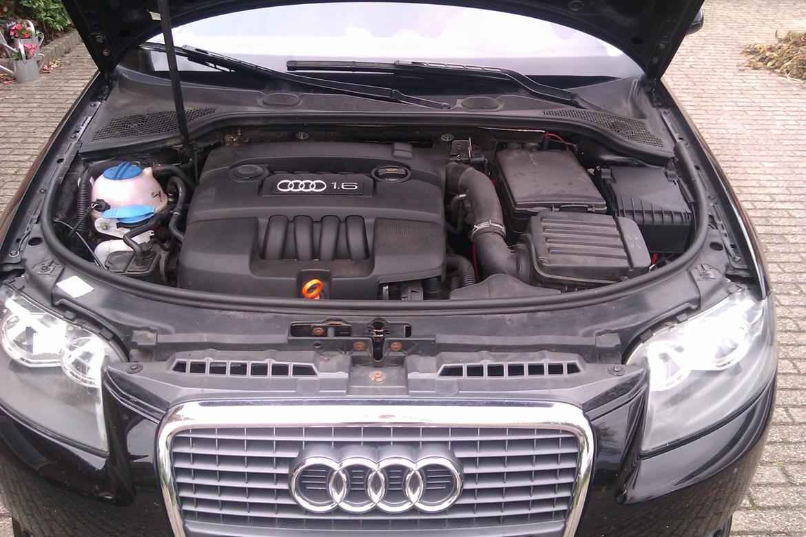 Audi A3 billede 19
