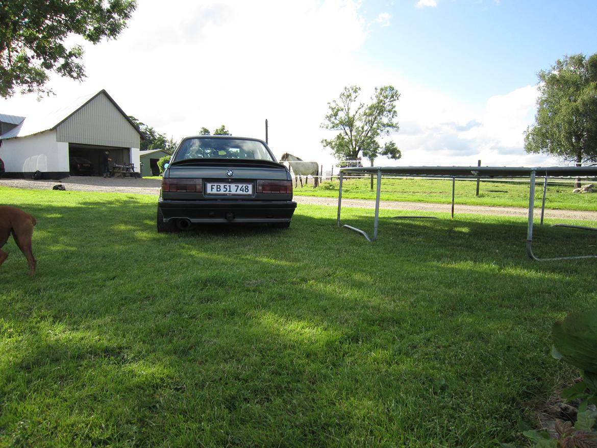 BMW E30 320i. Solgt billede 13