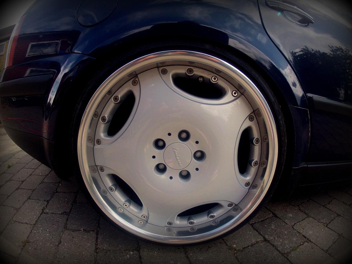 VW Passat 3b billede 19