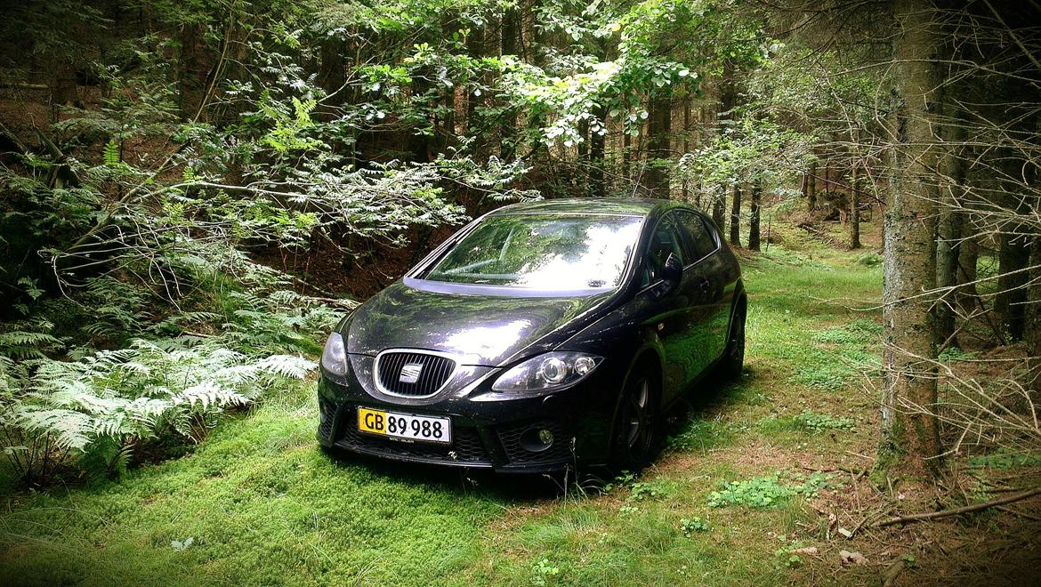 Seat Leon 1.8 Tsi 160 Hk billede 1