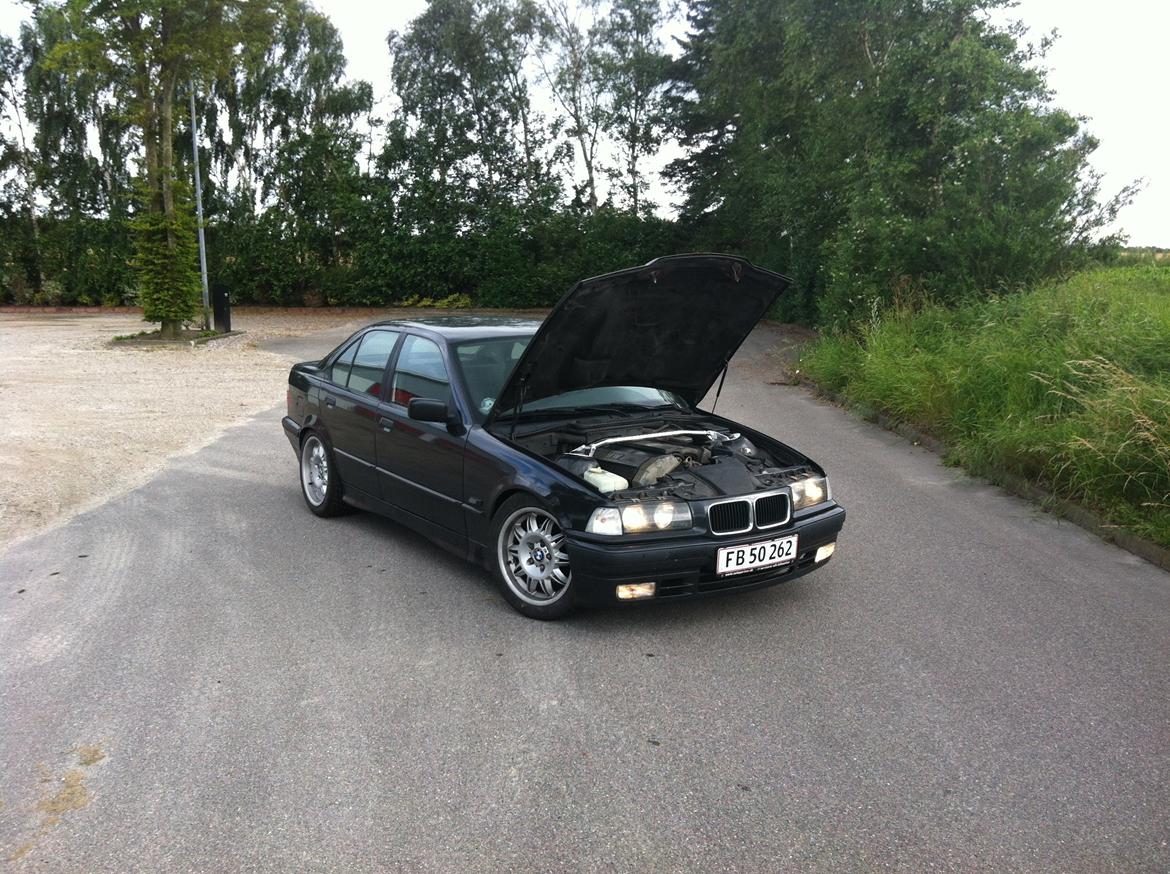 BMW e36 Solgt billede 11