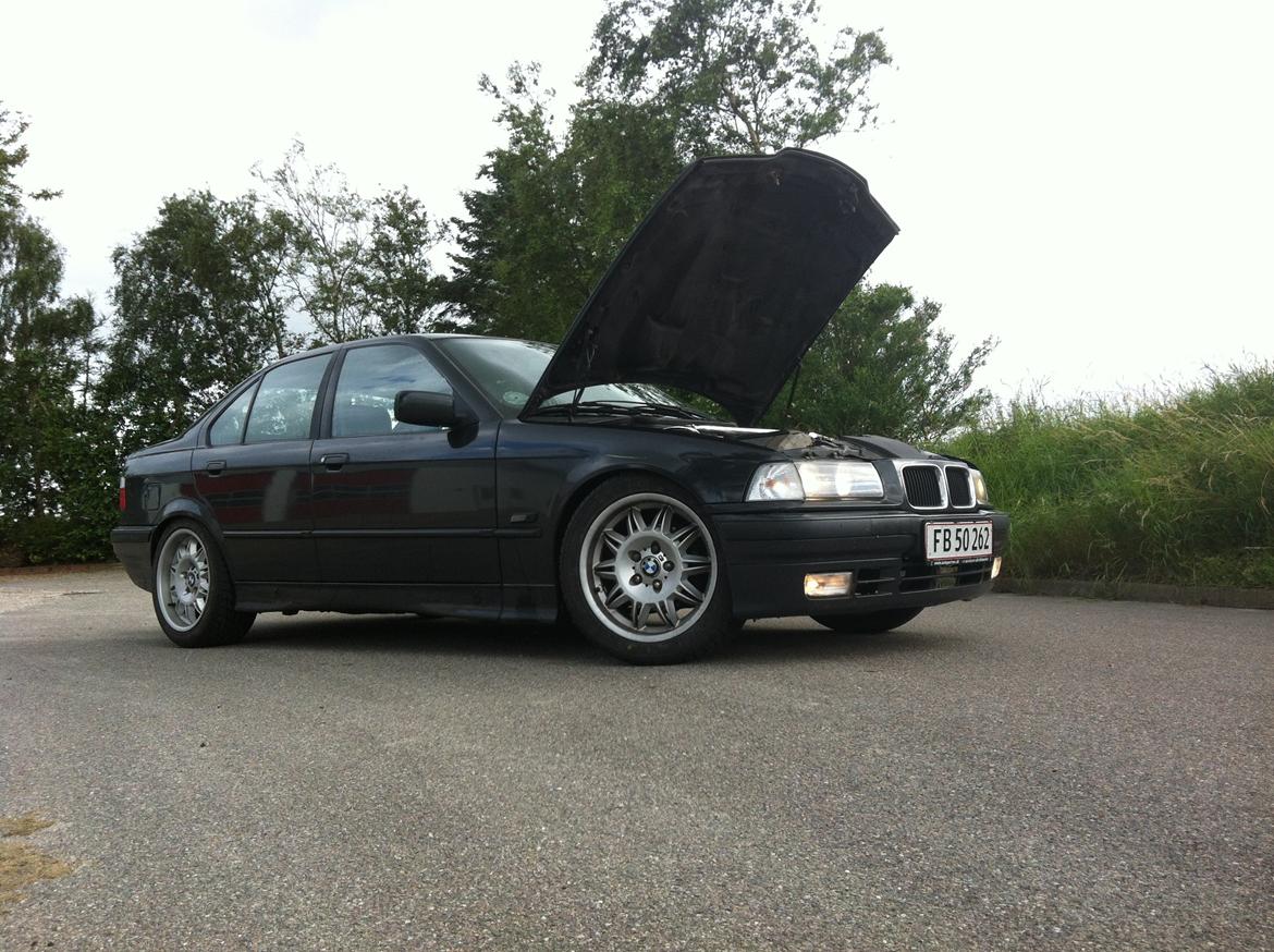 BMW e36 Solgt billede 12