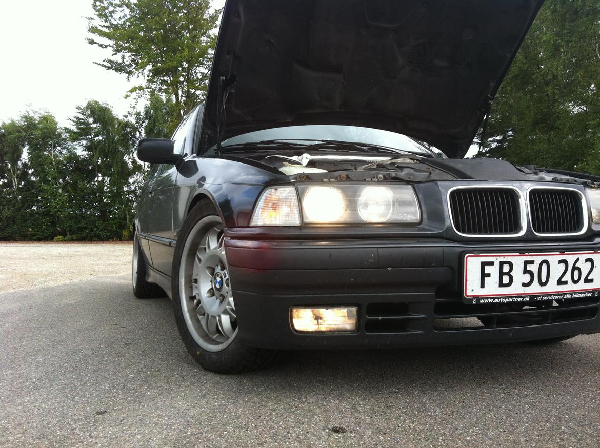 BMW e36 Solgt billede 13