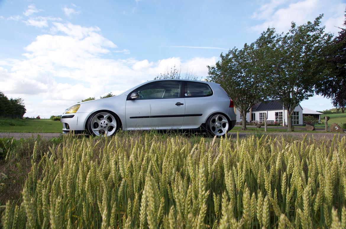 VW Golf V Daily Driver billede 7