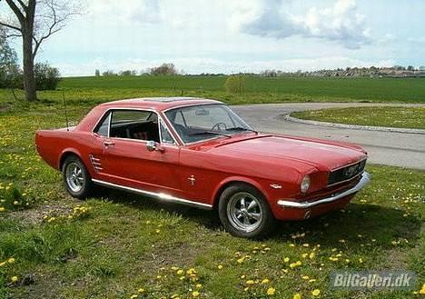 Amerikaner Ford Mustang  billede 1