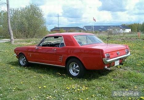 Amerikaner Ford Mustang  billede 2