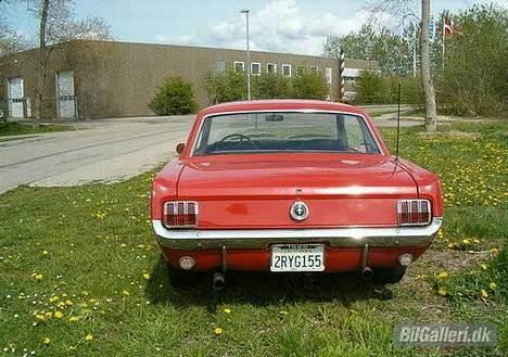 Amerikaner Ford Mustang  billede 3