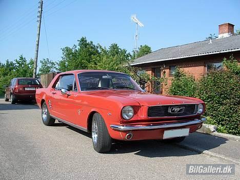 Amerikaner Ford Mustang  billede 4