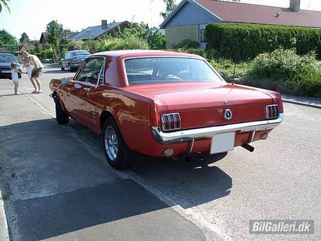 Amerikaner Ford Mustang  billede 5