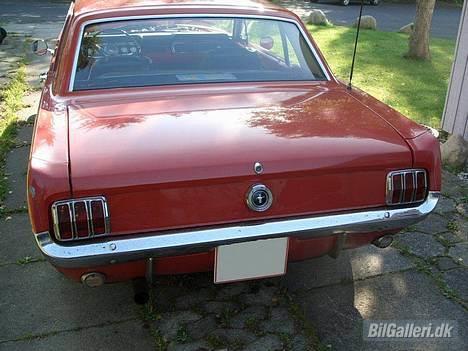 Amerikaner Ford Mustang  billede 6