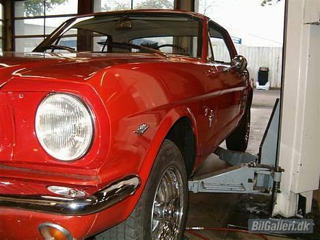 Amerikaner Ford Mustang  billede 7