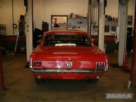 Amerikaner Ford Mustang  billede 8