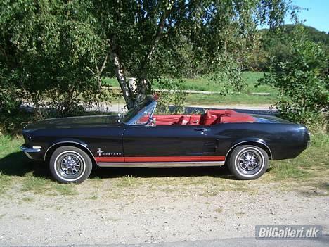 Amerikaner Ford Mustang Convertible 289 billede 13