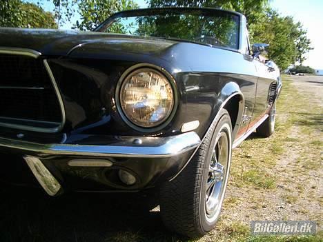 Amerikaner Ford Mustang Convertible 289 billede 16