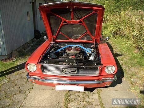 Amerikaner Ford Mustang  billede 9