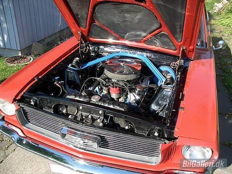 Amerikaner Ford Mustang  billede 10