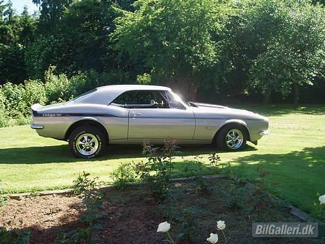 Chevrolet Camaro SYC Yenko billede 8