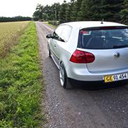 VW Golf V Daily Driver