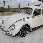 VW Bobbel